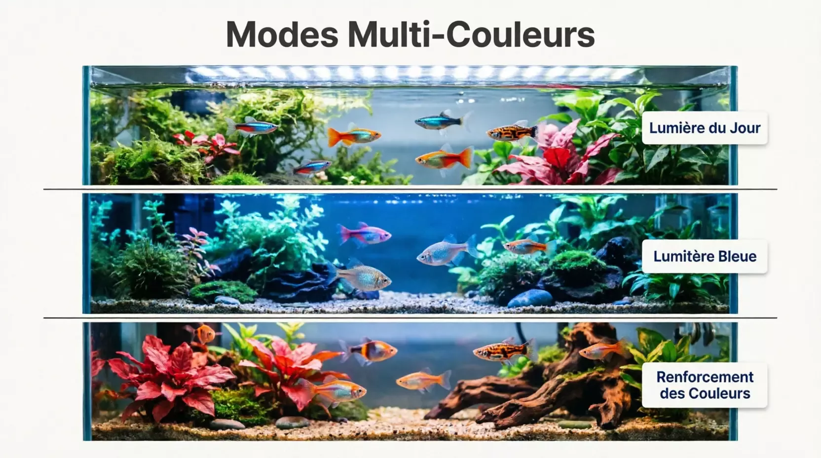 Lumière LED pour aquarium avec minuterie et réglage de la luminosité