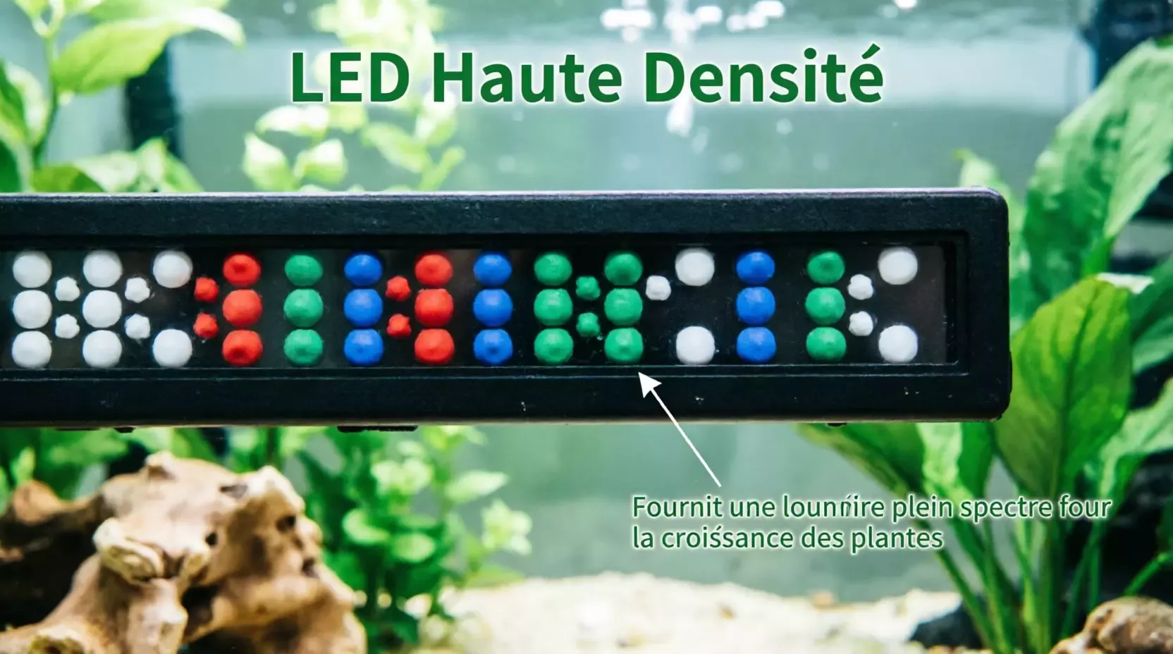 Lumière LED pour aquarium avec minuterie et réglage de la luminosité